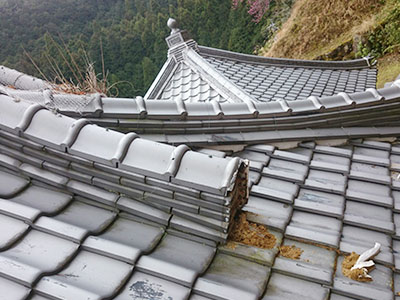 屋根修理