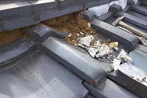 いすみ市の漆喰工事の料金・金額